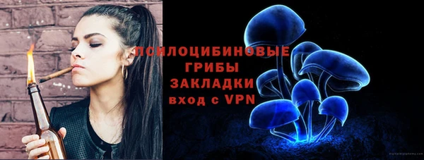 ALPHA PVP Кодинск