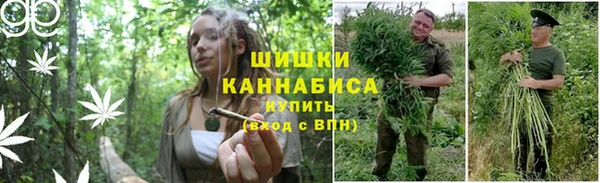 spice Корсаков